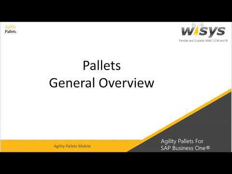 Pallets Overview - Agility Pallets for SAP Business One