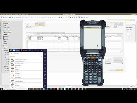 Introduction to WiSys Agility WMS for SAP Business One