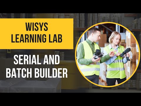 WiSys Agility Learning Lab: Serial and Batch Builder